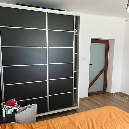 Casa Rodica Дом отдыха *