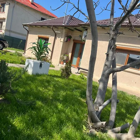 Дом отдыха Casa Rodica
