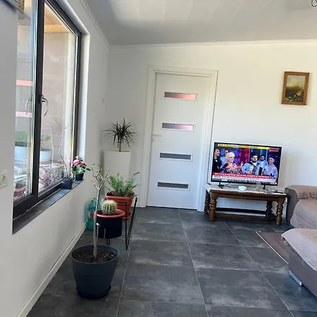 Casa Rodica Дом отдыха Мангалия