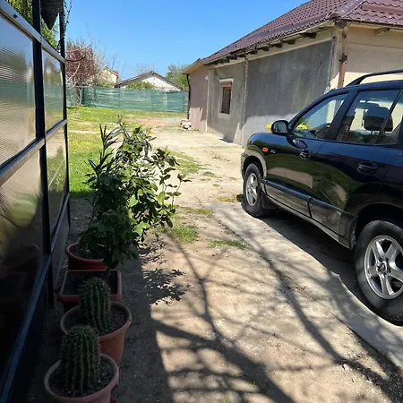 Casa Rodica *